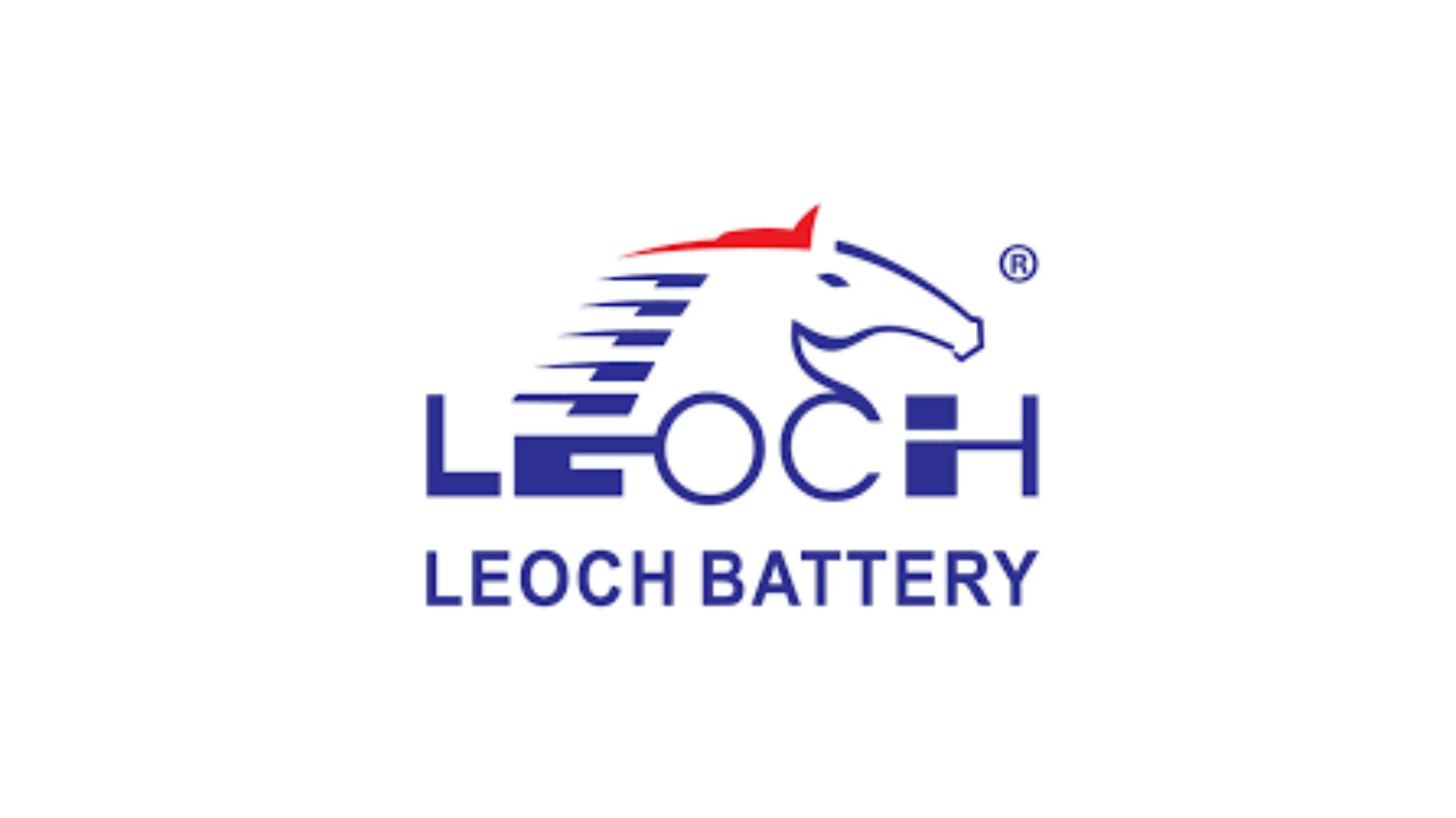 18 Leoch battery